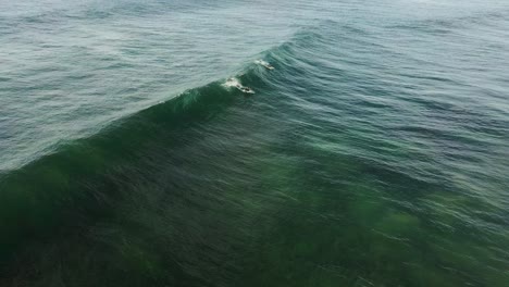 Zwei-Surfer-Fangen-Eine-Welle-Am-Shelly-Beach-In-New-South-Wales,-Australien