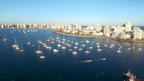 Aerial-view-of-the-city-of-Punta-del-Este-in-the-afternoon