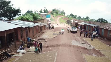 Vista-Panorámica-Del-Secado,-Procesamiento-Y-Transporte-De-Granos-De-Café-Durante-La-Cosecha,-Uganda