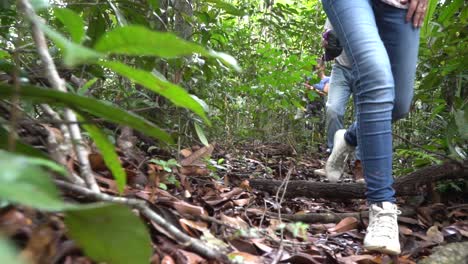 Turistas-Caminando-Por-El-Suelo-De-La-Selva-Amazónica-En-Expedición-Urbana,-Brasil