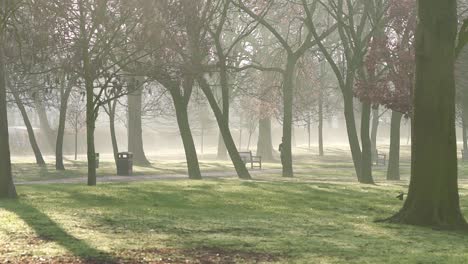 A-young-girl-is-jogging-running-in-the-park-holding-a-bottle-of-water-where-the-sun-shines-through-the-foggy-morning-air