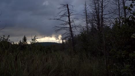 Ein-Sumpfgebiet-Mit-Einigen-Toten-Bäumen-Mit-Bewölktem-Himmel-Und-Etwas-Windiger,-Näher-Rückender-Dämmerung-Im-Norden-Von-Ontario,-Kanada