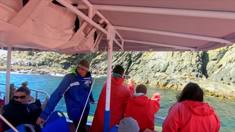Bruny-Island,-Tasmanien,-Australien---15.-März-2019:-Bootspassagiere-Fotografieren-Robben-Auf-Einem-Felsvorsprung-Auf-Bruny-Island,-Tasmanien
