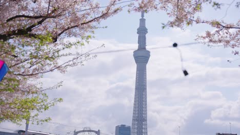 Primavera-En-Tokio,-Japón,-Linterna-Del-Festival-De-Sakura-Soplando-En-El-Viento