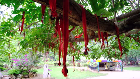 Chinese-Auspicious-red-ribbon-hangs-on-the-tree-branches-as-a-sign-of-good-fortune-and-lucky-charm