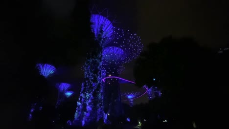 Weitwinkelaufnahme-Der-Blau-Beleuchteten-Singapur-Gärten-An-Den-Lorbeerbäumen-Bei-Nacht