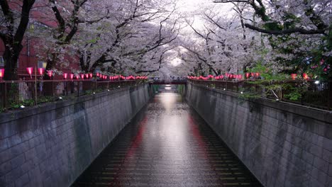 Long-Canal-at-Meguro-City-in-Tokyo,-Sakura-Festival-with-Lanterns-in-Spring