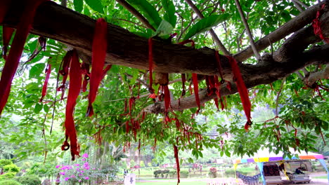 Chinese-Auspicious-red-ribbon-hangs-on-the-tree-branches-as-a-sign-of-good-fortune-and-lucky-charm-with-the-landscape-in-the-background