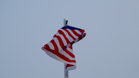 Die-Malaysische-„Stripe-Of-Glory“-Flagge-Weht-Im-Wind