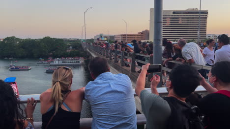 Tourists-go-bat-watching-off-Congress-Avenue-Bridge-in-downtown-Austin-Texas