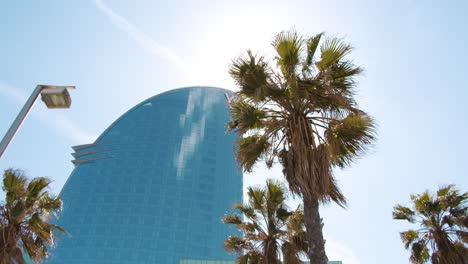 Hotel-W-from-Barcelona-view-from-behind-a-palm-tree-slowmotion