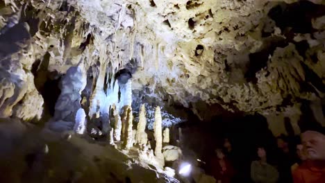 tourist-tour-florida-caverns-state-park