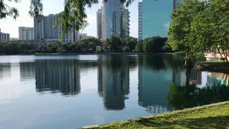 View-of-Lake-Ella-from-the-park-with-trees-outlining-the-shot-of-the-city