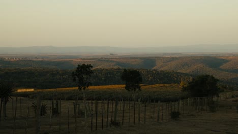Scenic-open-field-with-sundowner-in-the-African-countryside