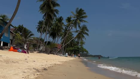 Atemberaubende-Aufnahme-Von-Palmen-Am-Strand-Von-Maenam-In-Koh-Samui,-Thailand