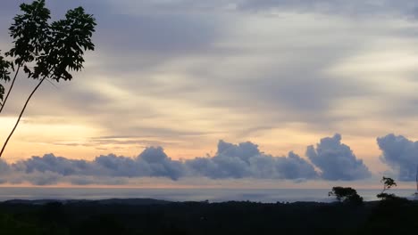 Silhouetten-Trockener-Bäume-Auf-Teefeldern-In-Sukabumi-Mit-Violettem-Himmel