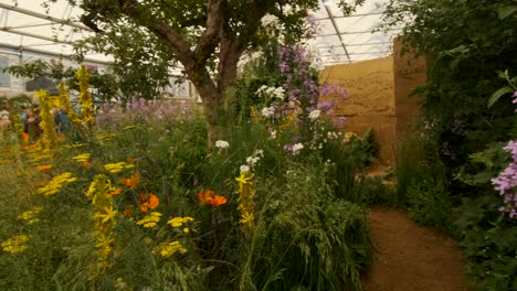 Pan-up-from-small-garden-path-to-reveal-chelsea-flower-show