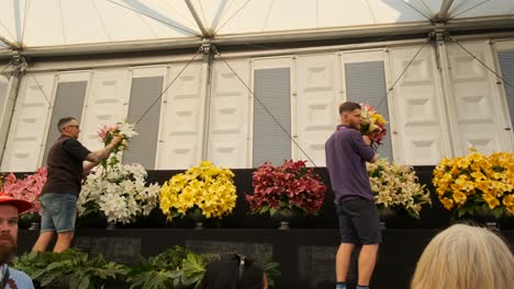 Workers-taking-lilies-from-bunches-to-sell-at-the-chelsea-flower-show