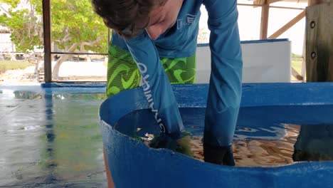 Boy-pulls-turtle-out-of-water-tank-at-turtle-wildlife-rescue-center-Los-Roques-Venezuela