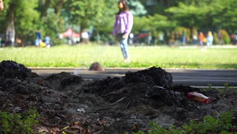Am-Rande-Eines-Stadtparks-Brennt-Müll,-Im-Hintergrund-Spielende-Kinder