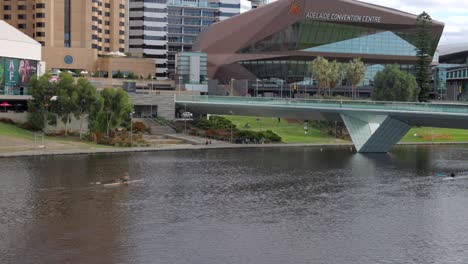 Frau-Rudert-Ein-Ruderboot-Im-Fluss-Torrens-In-Der-Nähe-Des-Adelaide-Convention-Center,-Adelaide,-Südaustralien