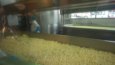 cheese-curds-being-processed-in-factory