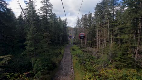 View-from-Doppelmayr-Lift-Systems-gondolas-through-old-growth-forest-in-Icy-Strait-Point,-Hoonah,-Alaska