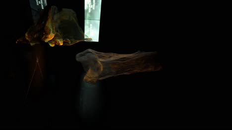 Vertikale-Ansicht-Von-Zwei-Textilstücken,-Beleuchtet-Von-Einem-Warmen-Licht,-Das-Sich-In-Der-Ausstellung-Im-Museum-Von-Morgen,-Rio-De-Janeiro,-Brasilien,-Frenetisch-Bewegt