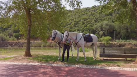 An-officer-of-the-Portuguese-National-Guard-on-horseback-patrol-in-Silves-Park