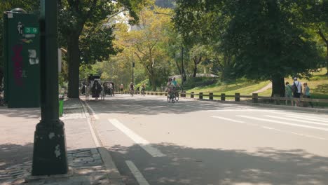 Lively-central-park-full-of-people-exercising-roaming-walking-commuting,-static