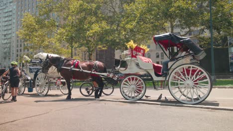 Tourists-ride-bikes-past-horse-drawn-carriage-in-central-park