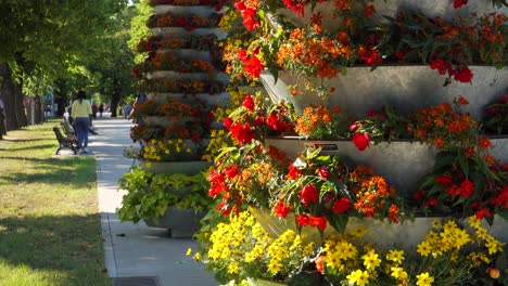 Nahaufnahme-Von-Sommerblumen-In-Großen-Blumentöpfen