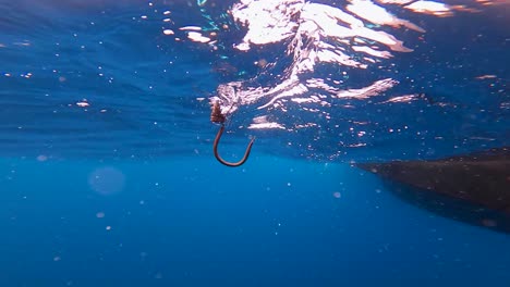 Unterwasseransicht-Einer-Angelgaffel,-Die-Im-Wasser-Nach-Einem-Fisch-Greift