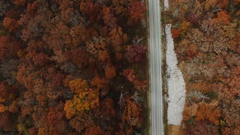 Country-Road-Between-Lush-Autumn-Forest-In-Arkansas,-USA---Aerial-Top-Down