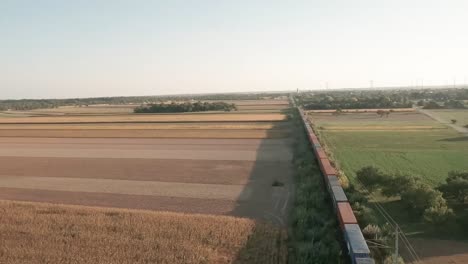 Cinematic-descending-aerial-drone-captures-a-laden-cargo-train-traversing-vast-golden-lit-cornfields,-while-the-drone-glides-overhead,-unveiling-the-serene-rural-scenery