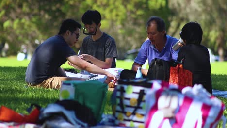 Asian-ethnic-family-having-a-picnic-in-a-park-on-a-sunny-day-in-Perth,-Western-Australia