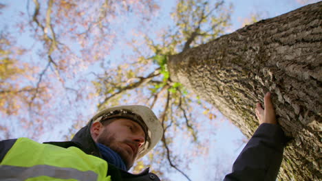 Safety-conscious-employee-observing-health-of-tree-trunk-and-birch