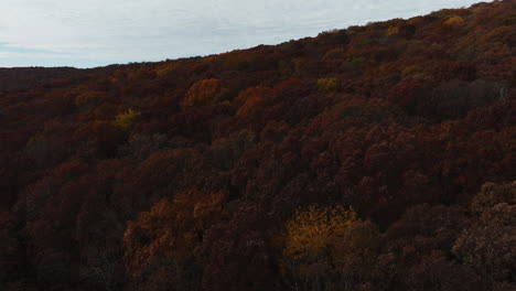 Dense-Autumn-Forest-In-Arkansas,-USA---Aerial-Drone-Shot