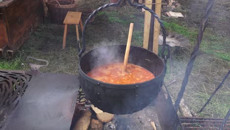 Viking-re-enactment-replica-pot-cooking-food-at-Woodstown-Waterford-Ireland