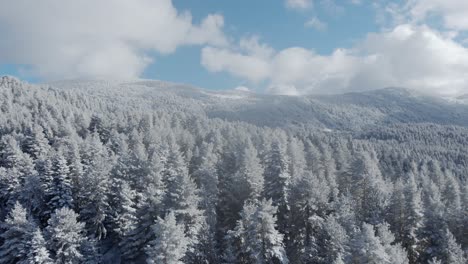 Drone-Sobre-Montaña-Cubierta-De-Nieve-Bosque-De-Abetos-De-Invierno-Cielo-Azul-Parcialmente-Nublado