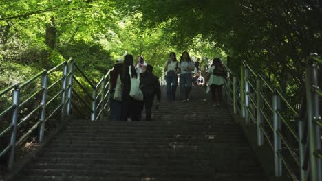 Turistas-Subiendo-Escaleras-Al-Mirador-De-Fujiyoshida