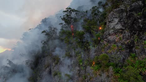 Wildfire-Blazing-In-Currumbin-Valley,-Queensland,-Australia