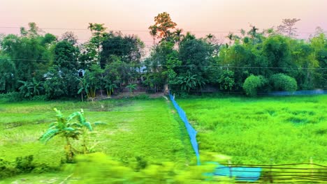 A-slow-panning-shot-of-a-farmland-and-rice-paddies-on-a-moving-vehicle