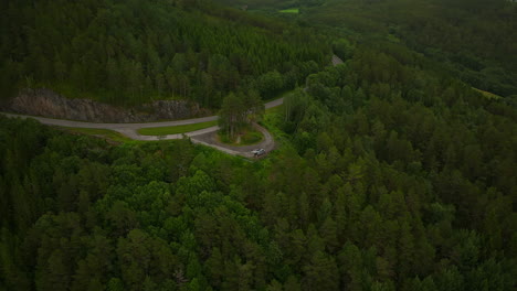 Van-Parkte-Auf-Der-Straße-Inmitten-Von-Dichtem-Dickicht-An-Der-Westküste-Norwegens