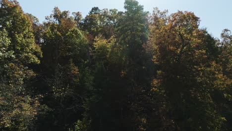 View-Of-Dense-Autumn-Forest-In-Eagle-Hollow,-Arkansas,-USA---Drone-Shot