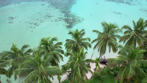 Drone-view-of-Zapatilla-Cay-beach-in-Bocas-del-Toro,-Panama_4K