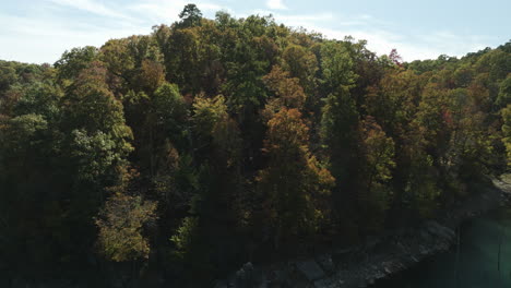 Coastal-Autumn-Woods-In-Eagle-Hollow,-Arkansas,-United-States