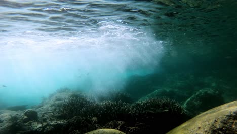Unglaublicher-Unterwasser-Zeitraffer-Eines-Felsenbeckens-Voller-Fische-Und-Korallenleben