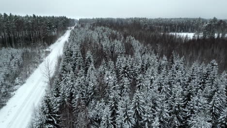 Frosty-evergreen-forest-in-a-wintery-countryside---aerial-flyover