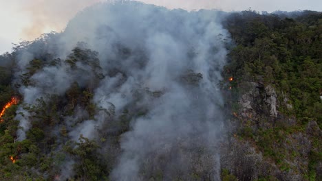 Wildfire-Blazing-In-Queensland,-Australia